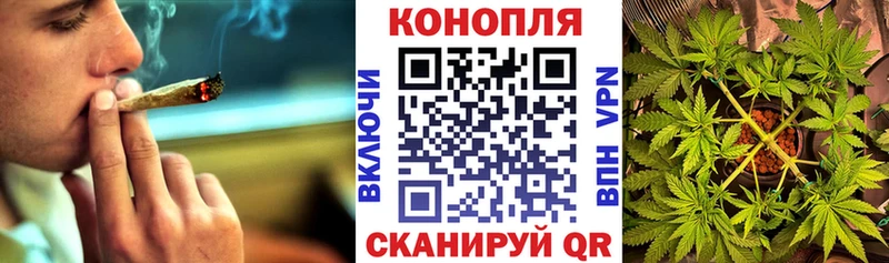 мориарти официальный сайт  сколько стоит  KRAKEN как войти  Липецк  МАРИХУАНА OG Kush 